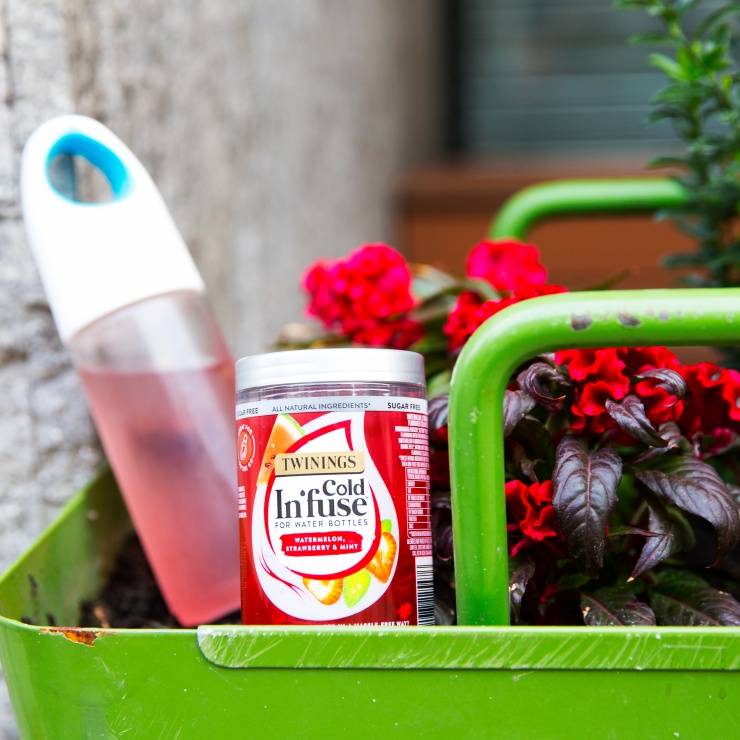 Twinings In’fuse Wassermelone, Erdbeere & Minze